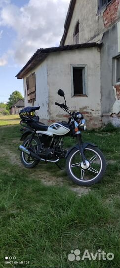 Мопед альфа рх11