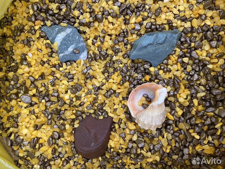 Набор для аквариума