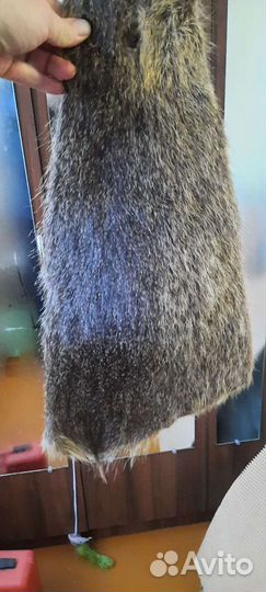 Шкурки нутрии выделанные, 11 шт