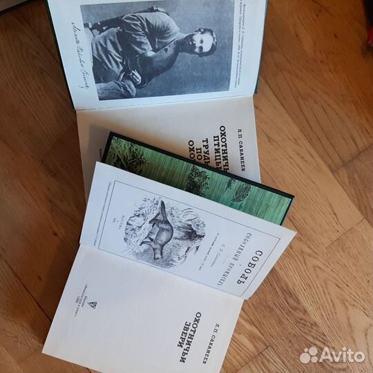 Сабанеев Охотничьи птицы и звери, календарь охоты