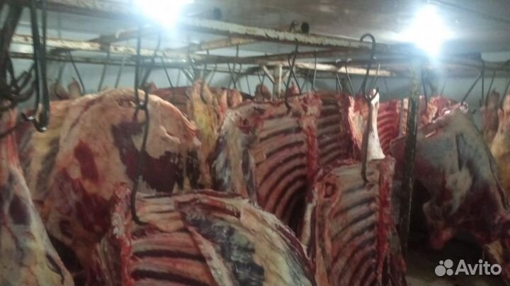 Продам мясо говядины,баранины