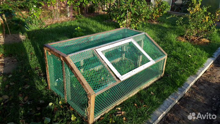 Летний выгул для кур