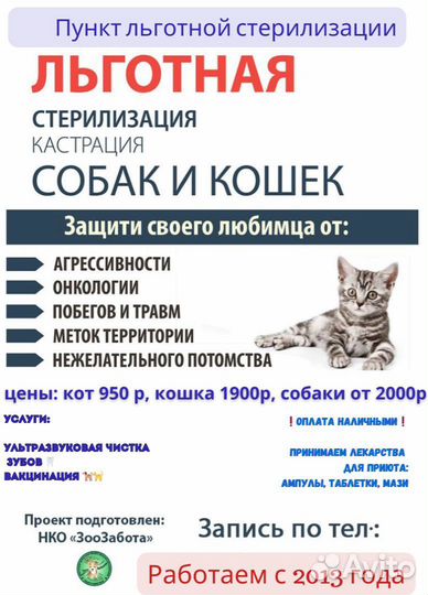 Пункт льготной стерилизации собак и кошек