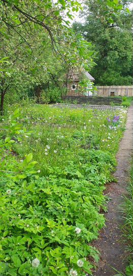 Дача 59 м² на участке 7,3 сот.