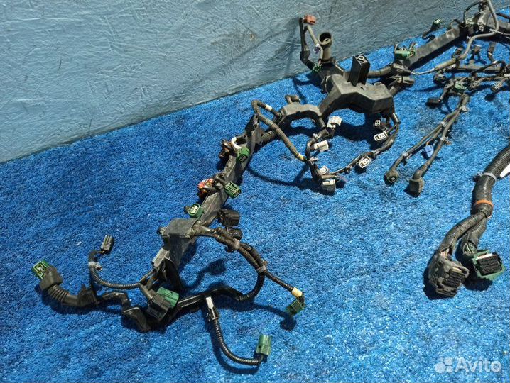 Проводка двигателя Honda Crosstour