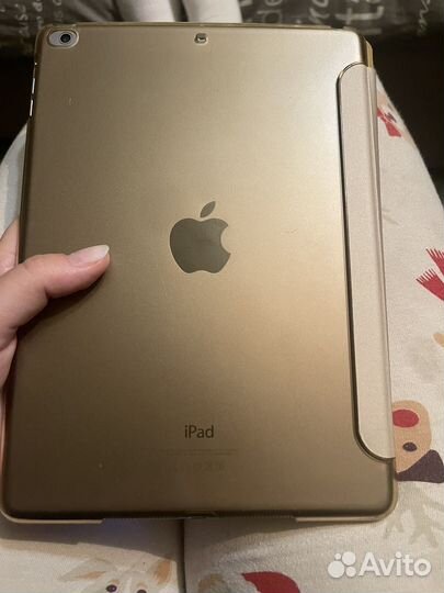 iPad