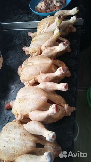 Мясо,цыплят бройлеров и индейки домашнее