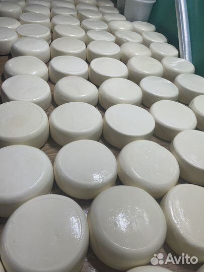 Сыр сулугуни, нить, чечел, балык, адыгейский