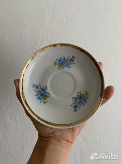 Чайная пара дулево незабудки