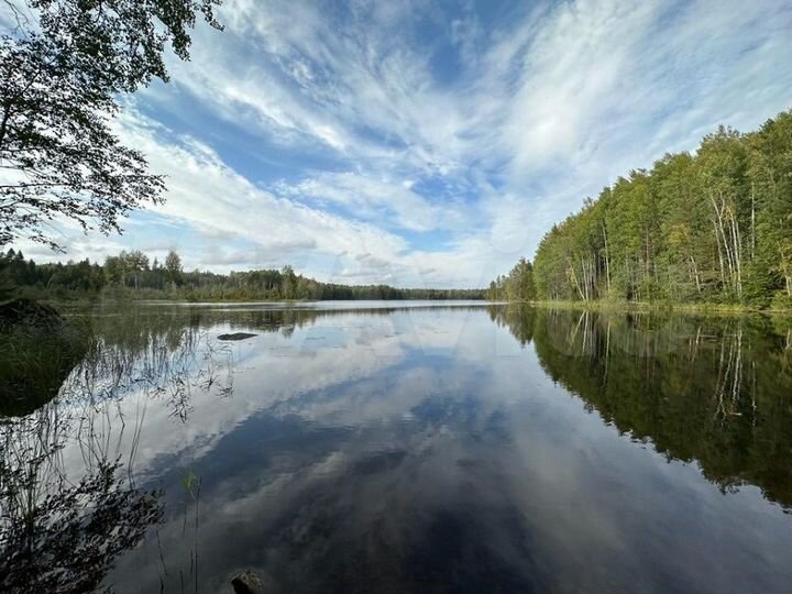 Участок 10 сот. (СНТ, ДНП)