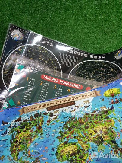 Интерактивная карта