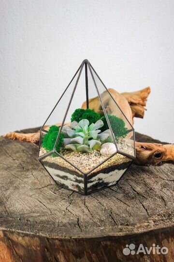 Флорариум Капля XS