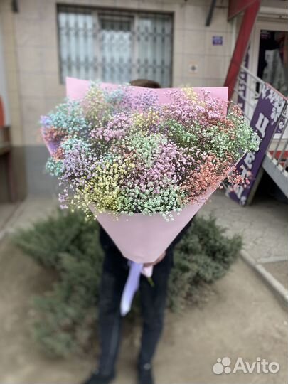 Цветы/букет из гипсофилы/радужная гипсофила