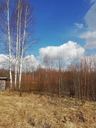 Участок 10 сот. (ИЖС)