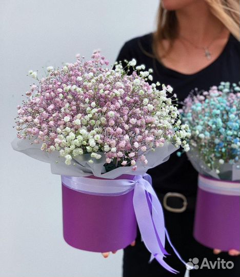 Радужная Гипсофила. Доставка/Самовывоз