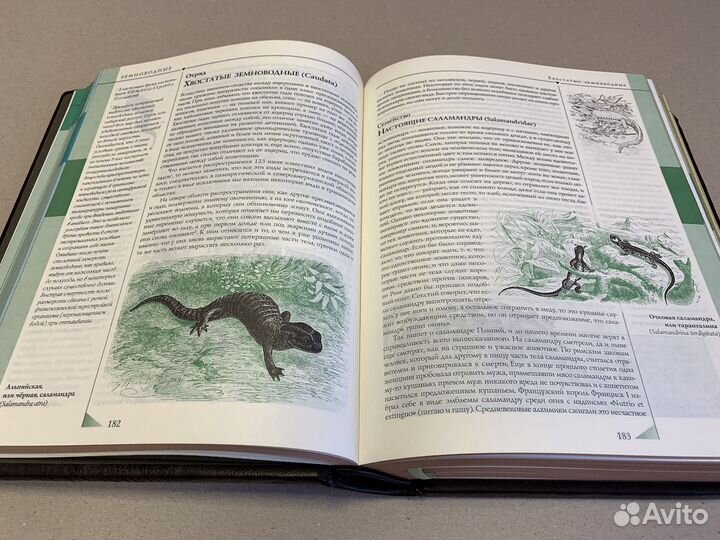 Брем. Жизнь животных (кожаная книга)