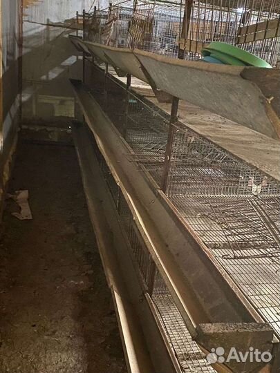 Заводские клетки для птиц