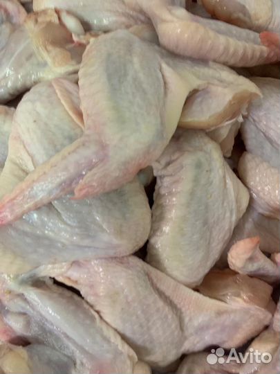 Корм для животных