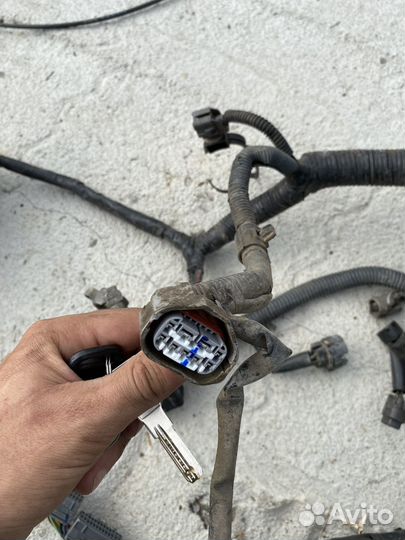 Коса двигателя Toyota Corolla AE110 5afe