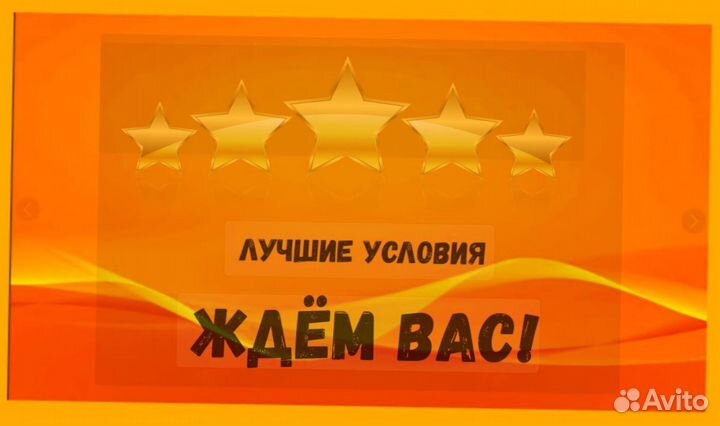 Наборщик заказов Без опыта Еженедельные выплаты