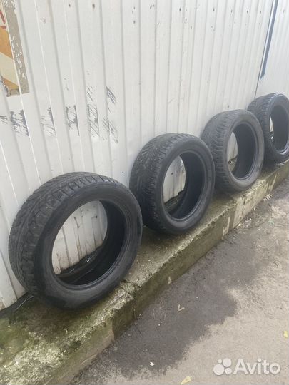 Gislaved Nord Frost 5 205/55 R16