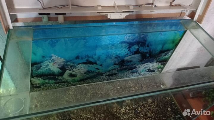 Аквариум 135л с тумбой
