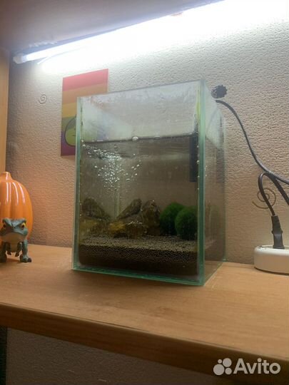 Аквариум маленький
