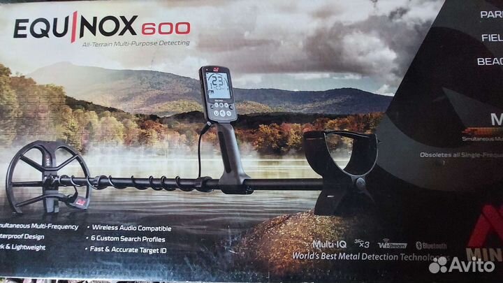 Minelab equinox 600