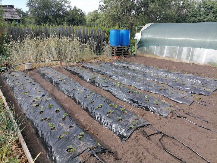 Дом 50 м² на участке 15 сот.