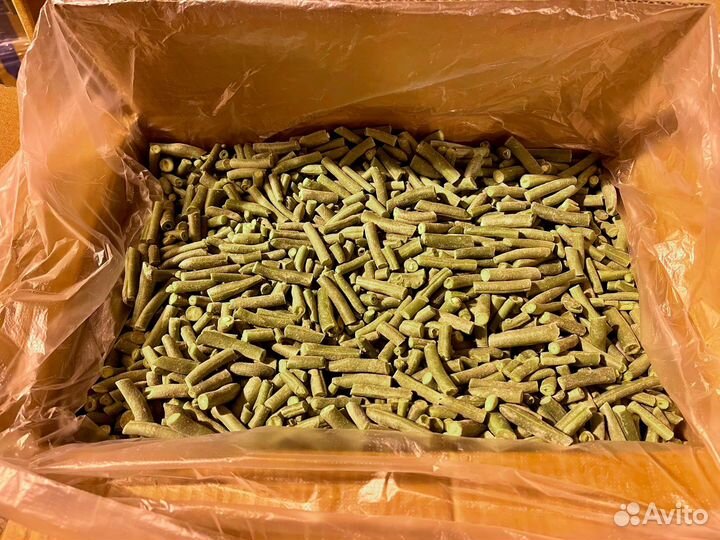 Фасоль стручковая