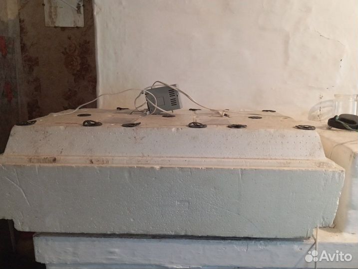 Инкубатор автоматический