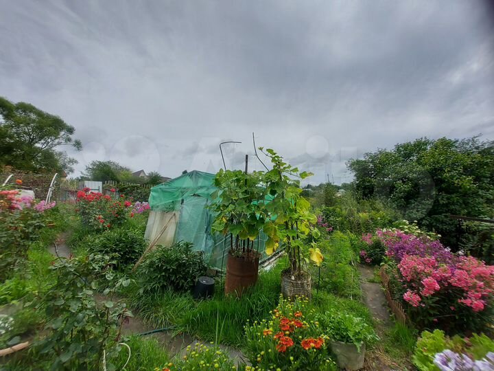 Дача 20 м² на участке 10 сот.