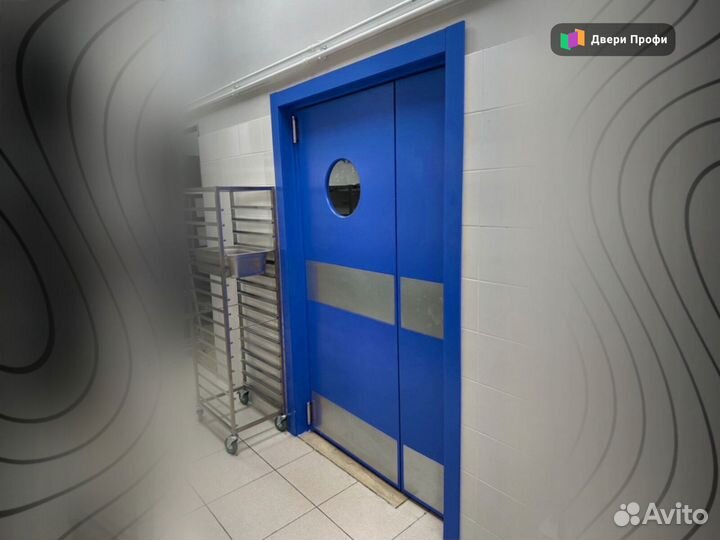 Дверь маятниковая пищевого производства