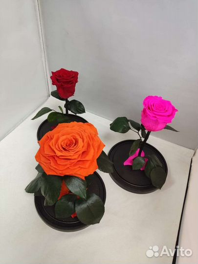Роза в колбе оптом и в розницу