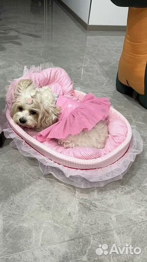 Царская лежанка для кошки и собаки