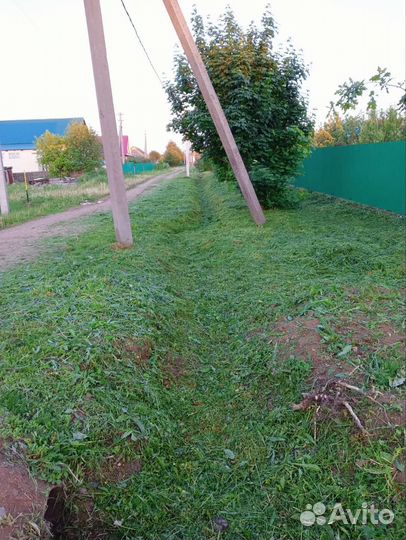 Покос травы
