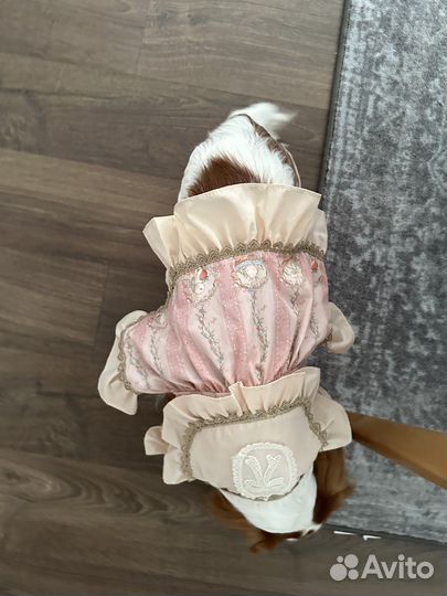 Платье для собаки