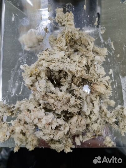 Корма для сельскохозяйственных животных