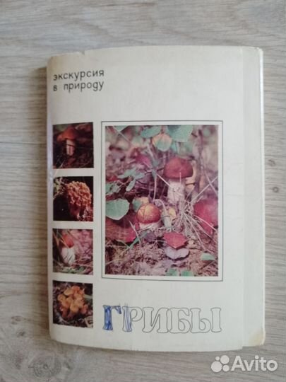 Наборы открыток СССР. Грибы