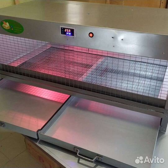 Брудер для циплят и перепелят