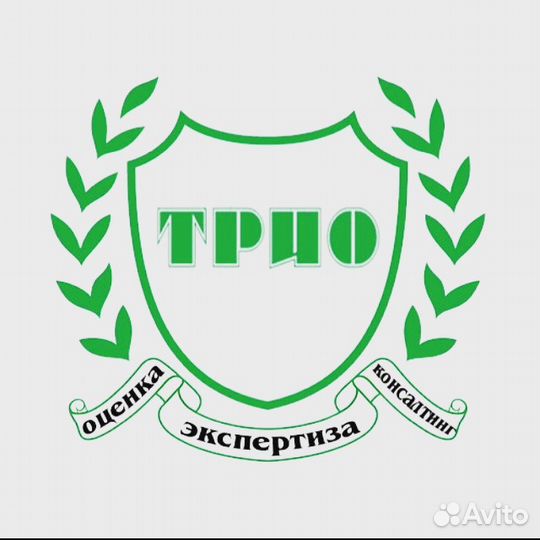 Независимая Экспертиза, Оценка