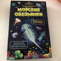 Морские обезьяны