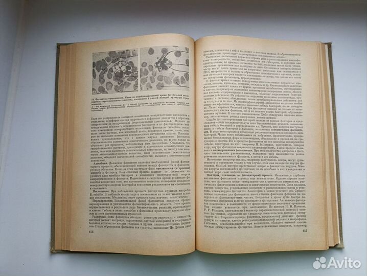 Книга учебник Микробиология Тимаков 1973