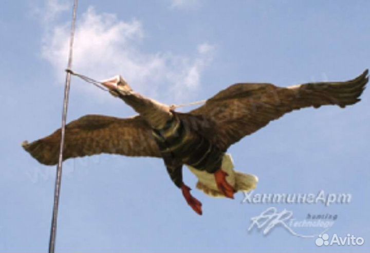 Приманка. Воздушный змей-Белолобый гусь. Приманка