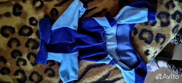 Костюм для собаки