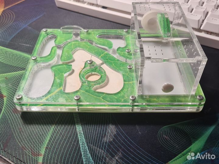 Муравьиная ферма