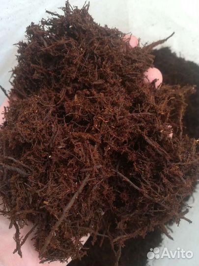 Субстрат Триферн Tree Fern