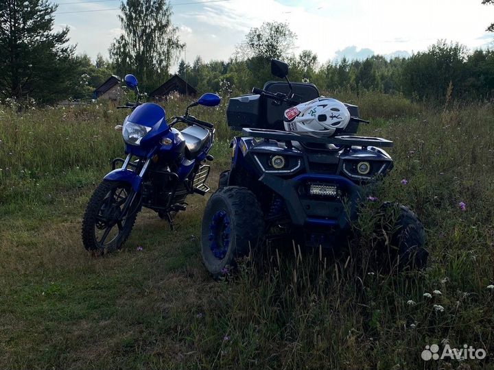 Avantis hunter 200 new big