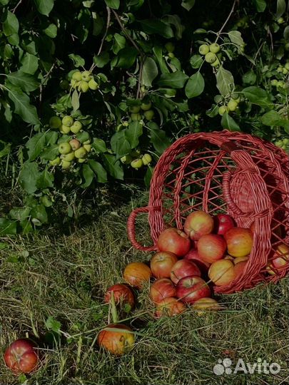 Корзина плетеная из бумажной лозы