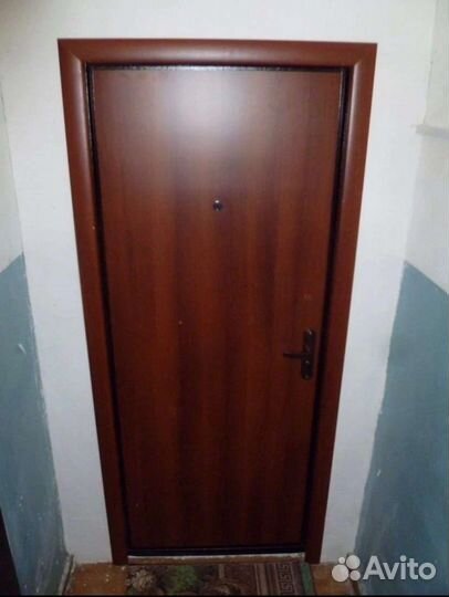 Двери входные эко от производителя